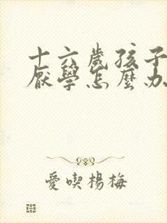 十六岁孩子叛逆厌学怎么办封面