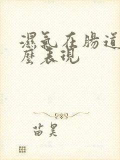 湿气在肠道有什么表现