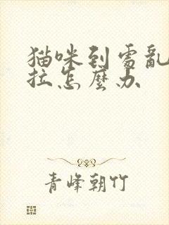 猫咪到处乱尿乱拉怎么办