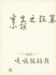 重生之狂暴火法小说