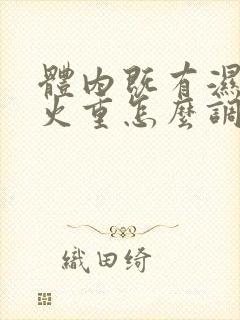 体内既有湿气又火重怎么调