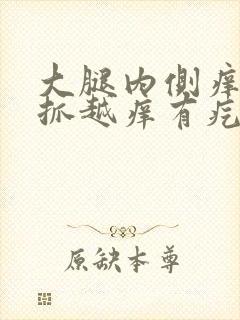 大腿内侧痒痒越抓越痒有疙瘩是怎么回事