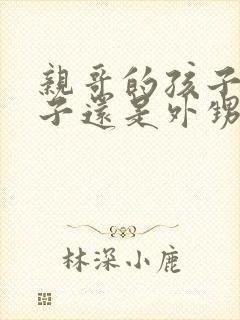 亲哥的孩子是侄子还是外甥封面