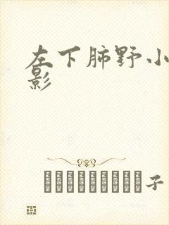 左下肺野小结节影