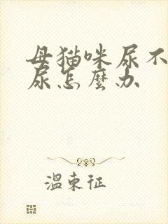 母猫咪尿不出来尿怎么办