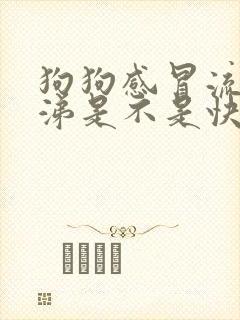 狗狗感冒流黄鼻涕是不是快好了封面