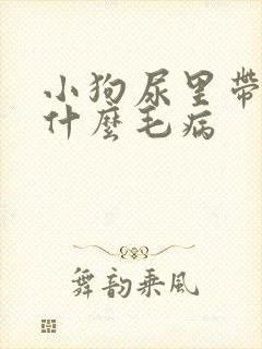 小狗尿里带血是什么毛病封面