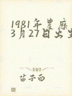 1981年农历3月27日出生的人命运如何?封面