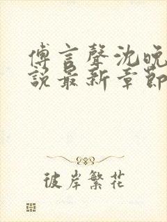 傅言声沈晚柔小说最新章节免费阅读