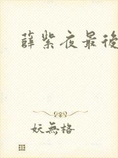 薛紫夜最后结局封面