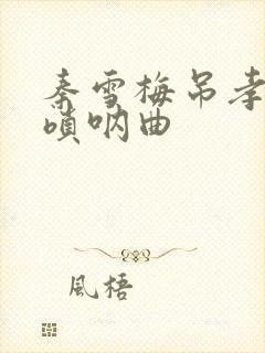 秦雪梅吊孝哭灵唢呐曲