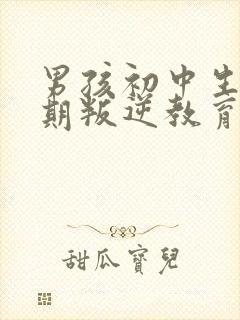 男孩初中生青春期叛逆教育