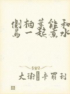 侧柏叶能和何首乌一起煮水洗头发吗