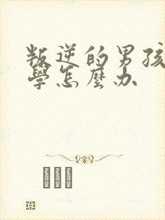 叛逆的男孩子厌学怎么办