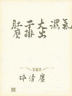 肚子大湿气重怎么排出