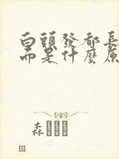 白头发都长在前面是什么原因