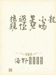 杨过是小龙女的亲侄儿吗