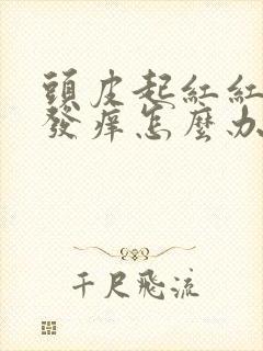 头皮起红红疙瘩发痒怎么办