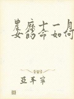 农历十一月的兔女的命如何封面