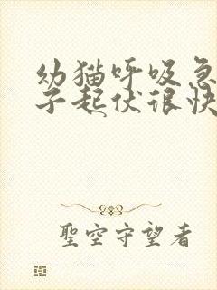 幼猫呼吸急促肚子起伏很快速是怎么了