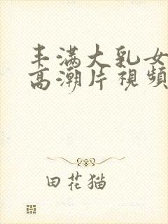 丰满大乳女做爰高潮片视频