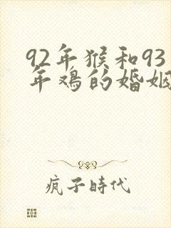 92年猴和93年鸡的婚姻好吗封面