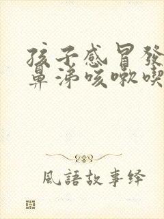 孩子感冒发烧流鼻涕咳嗽吃什么药