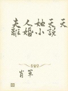 夫人她天天都想离婚小说封面