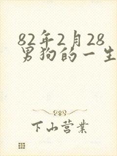 82年2月28男狗的一生命运
