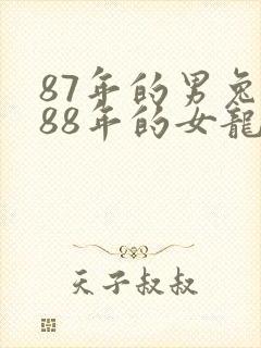 87年的男兔和88年的女龙姻缘好不好