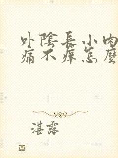 外阴长小肉粒不痛不痒怎么回事