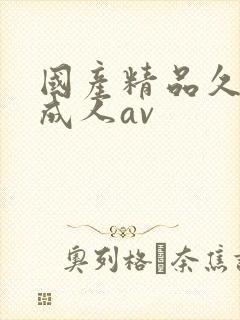 国产精品久久久成人av