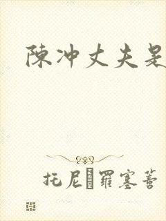 陈冲丈夫是谁封面