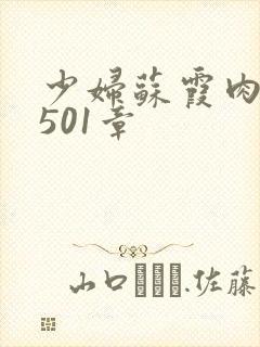 少妇苏霞肉欲第501章