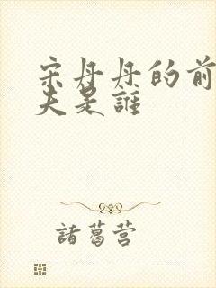 宋丹丹的前任丈夫是谁