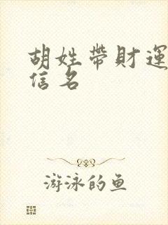 胡姓带财运的微信名