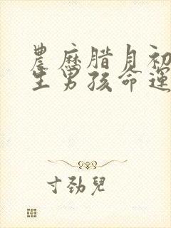 农历腊月初一出生男孩命运如何