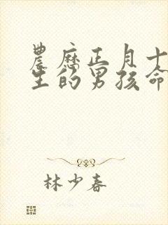 农历正月十五出生的男孩命运