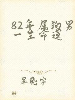 82年属狗男的一生命运