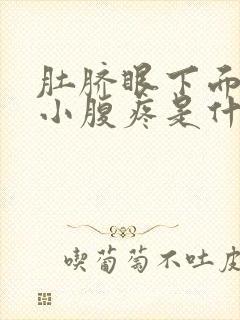 肚脐眼下面左侧小腹疼是什么原因引起的封面