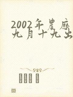 2002年农历九月十九出生的人,命运咋样封面