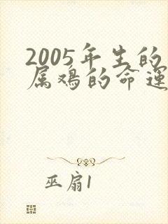 2005年生的属鸡的命运怎么样