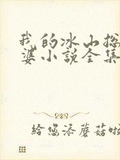 我的冰山总裁老婆小说全集