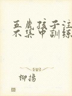 五岁孩子注意力不集中训练方法