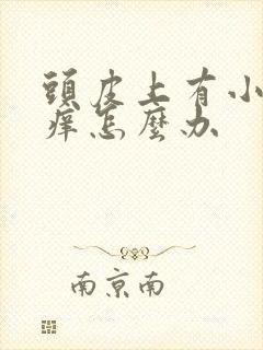 头皮上有小疙瘩痒怎么办