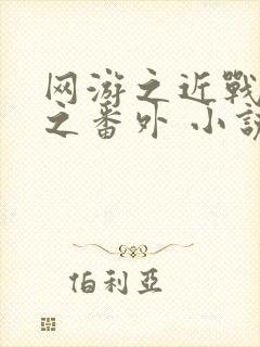网游之近战法师之番外 小说