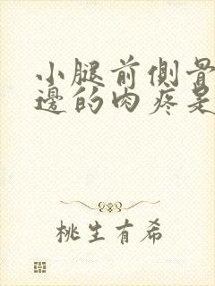 小腿前侧骨头旁边的肉疼是怎么了