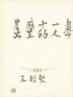 农历十一月初十出生的人命运