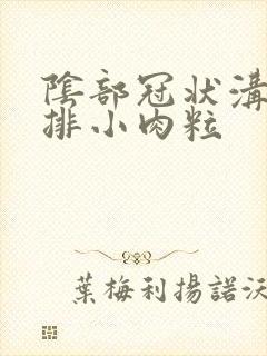 阴部冠状沟有一排小肉粒