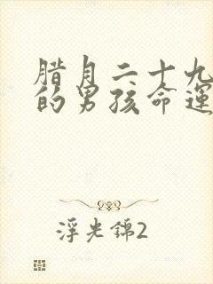 腊月二十九出生的男孩命运